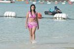 Payal Ghosh (Harika) in Bikini Swimwear Photoshoot on 30th May 2010 (139).JPG